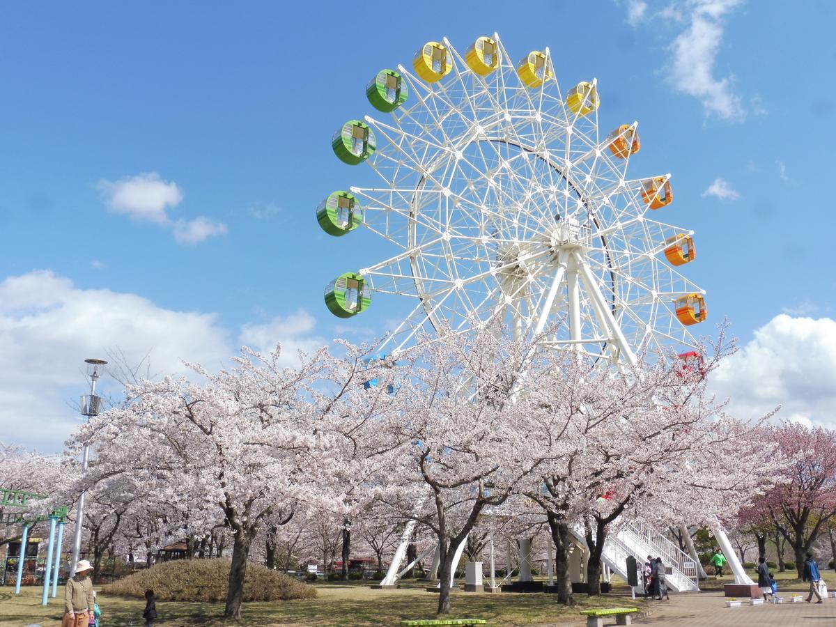 Apa Hotel Honhachinohe Bagian luar foto