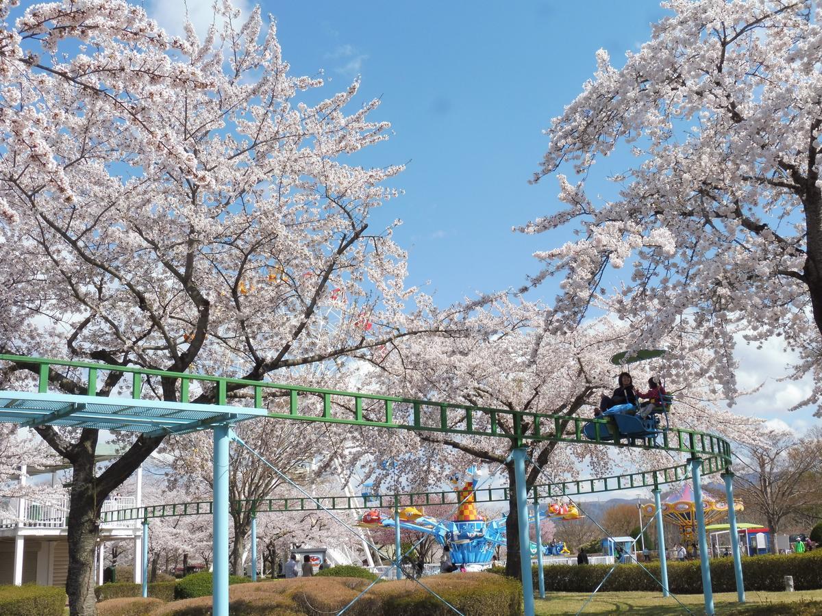 Apa Hotel Honhachinohe Bagian luar foto